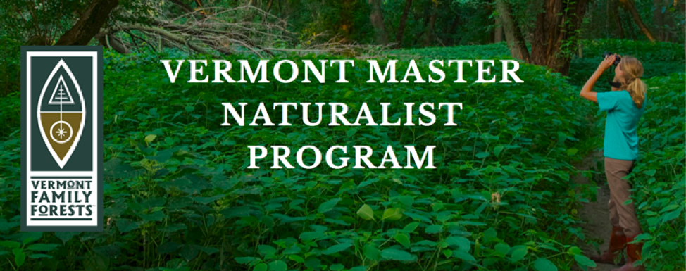 Featured image for “Application Deadline for Bristol-based Vermont Master Naturalist training”