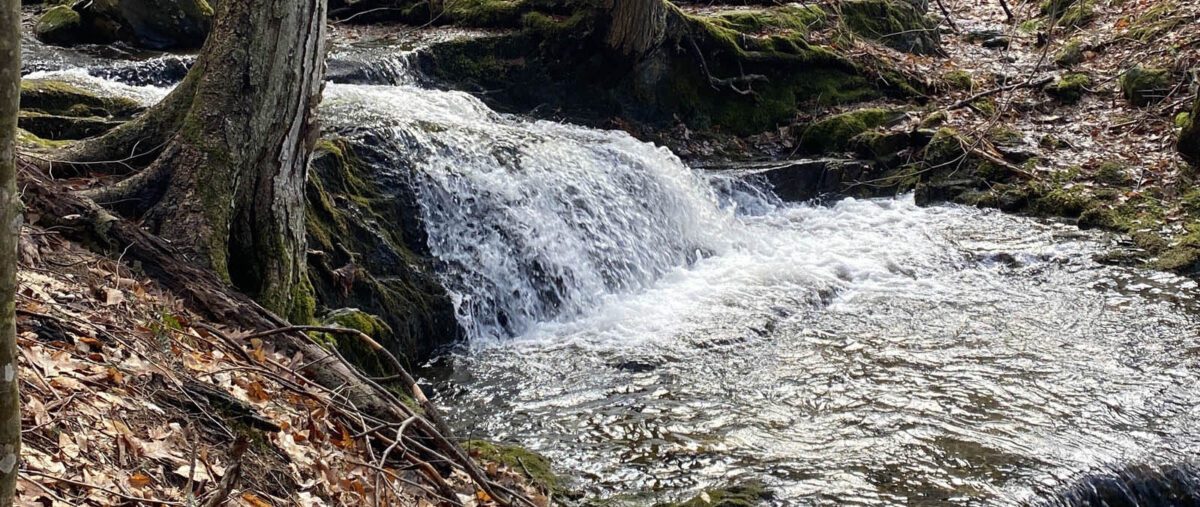 cascading water flows into small pool in forest.