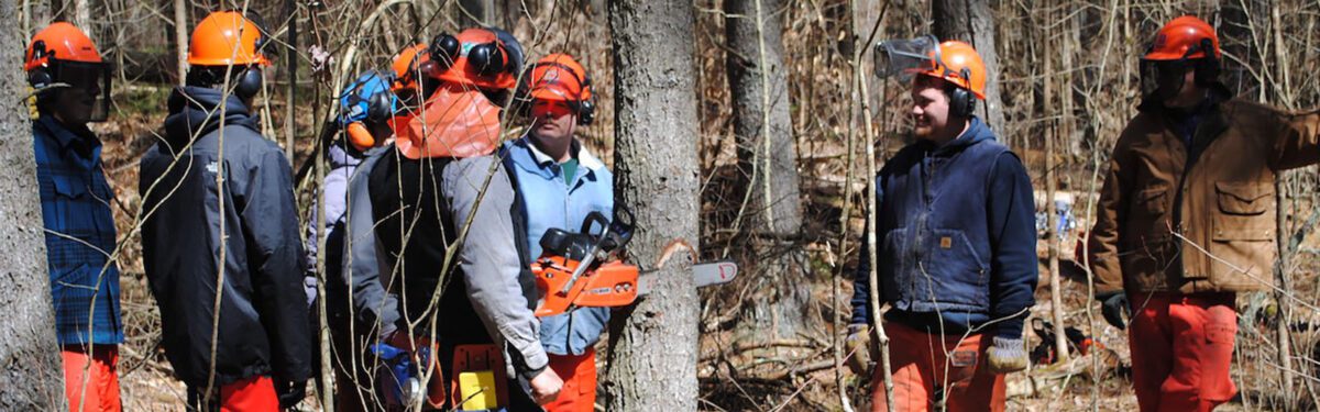 Students learning about chainsaw basics