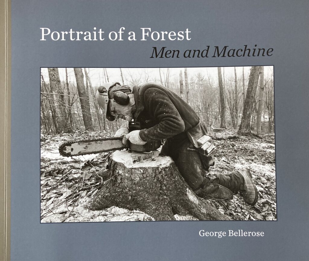Portraits of a Forest book cover