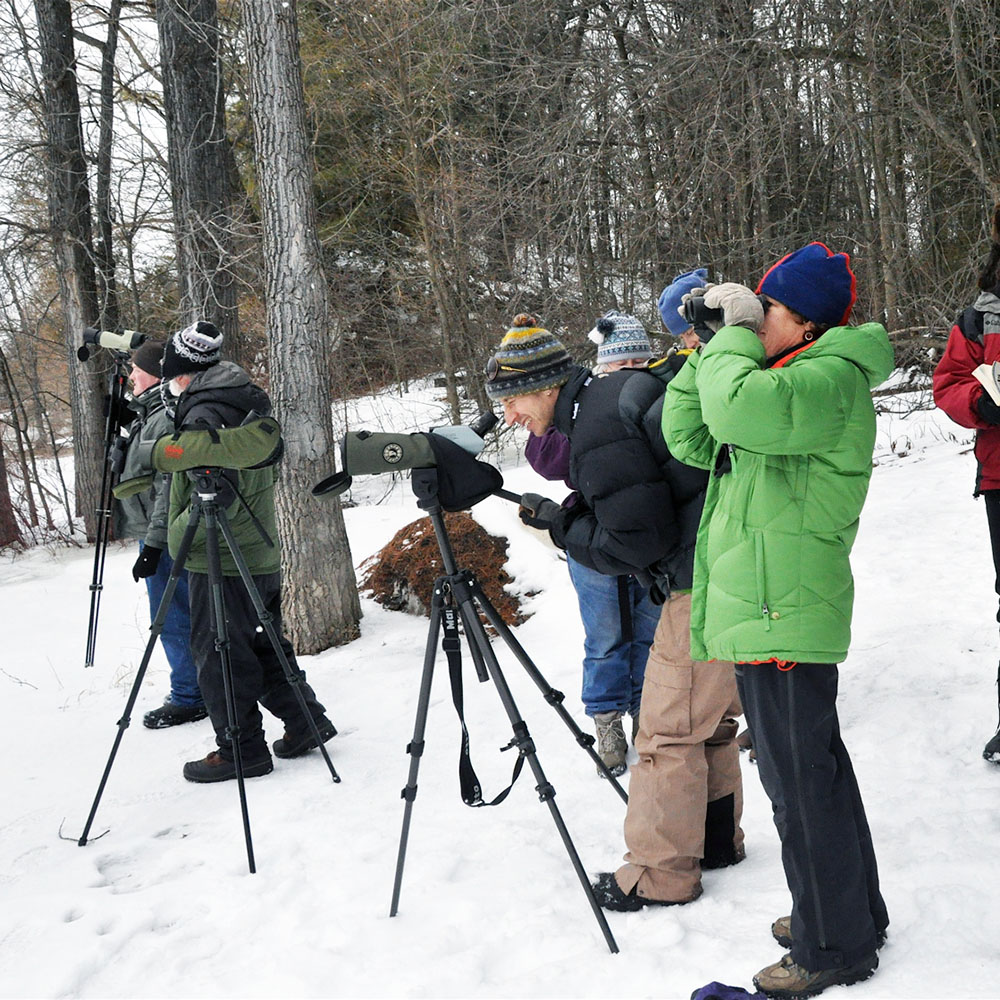 People bird watching in winter with telescopes