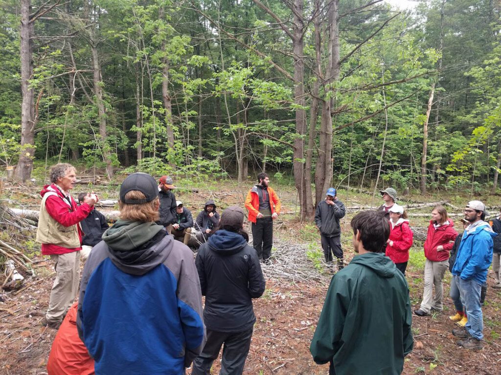 A Day In The Woods With Uvm’s Forestry Summer Camp 