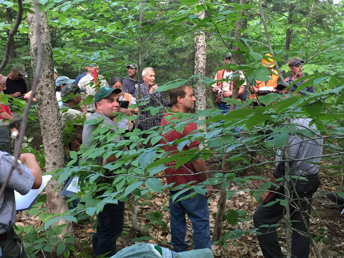 A Different Forestry Model at Bartlett Experimental Forest Vermont