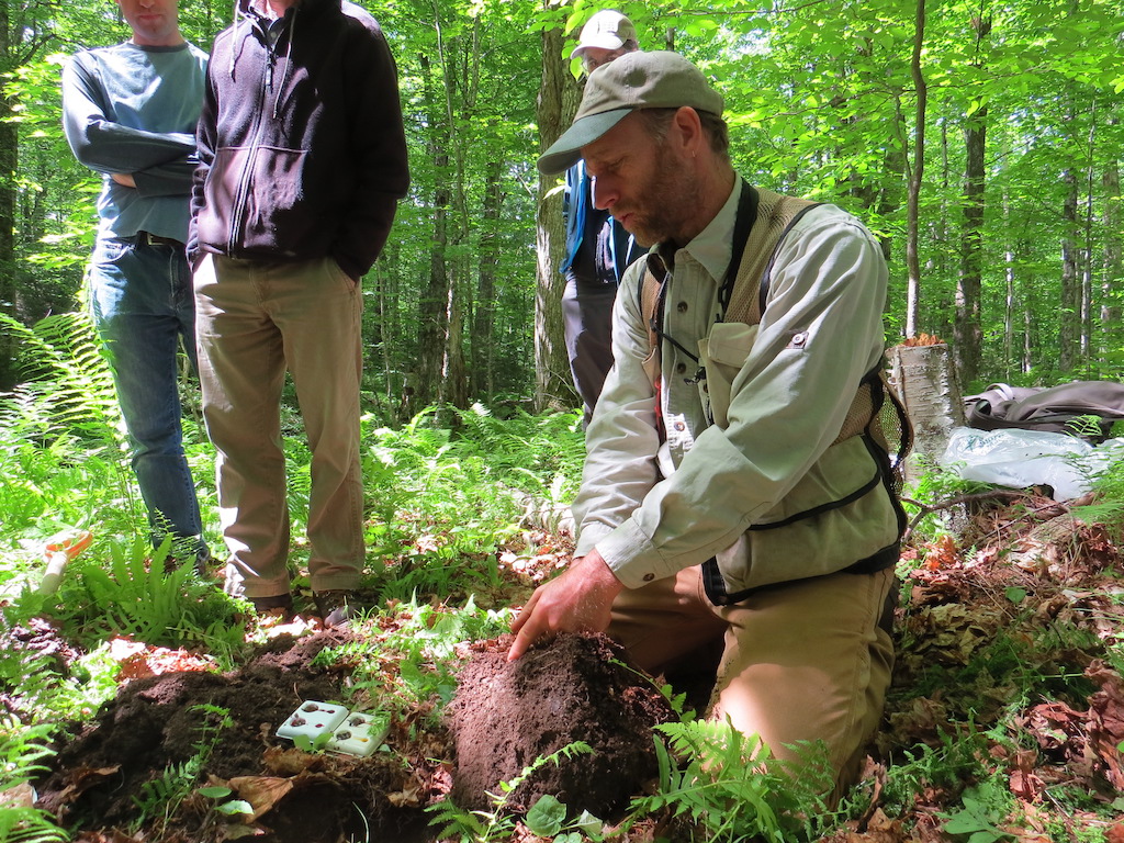 Featured image for “What’s Alive? Workshop Explores Forest Biodiversity”