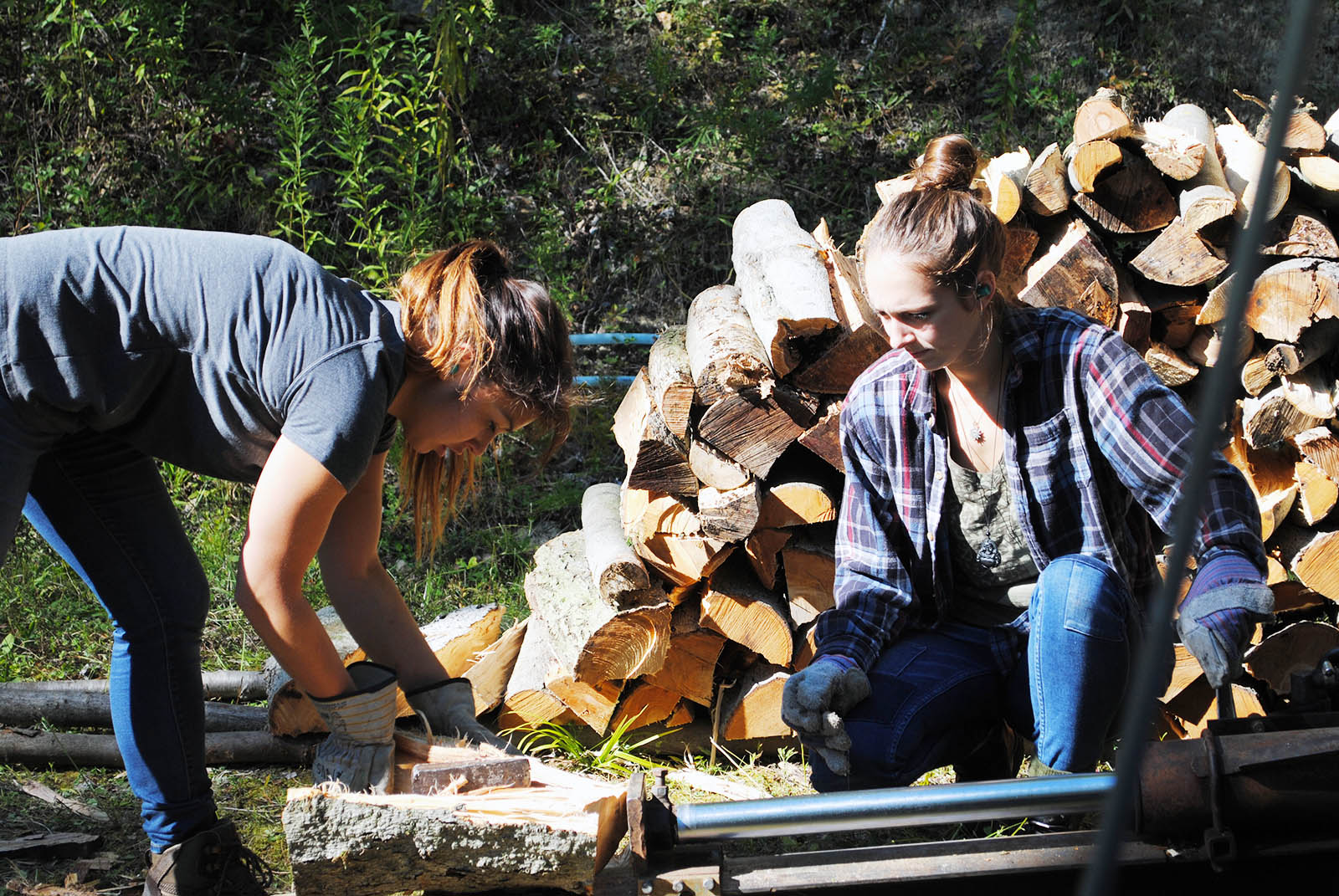 UVM students splitting wood with a wood splitter