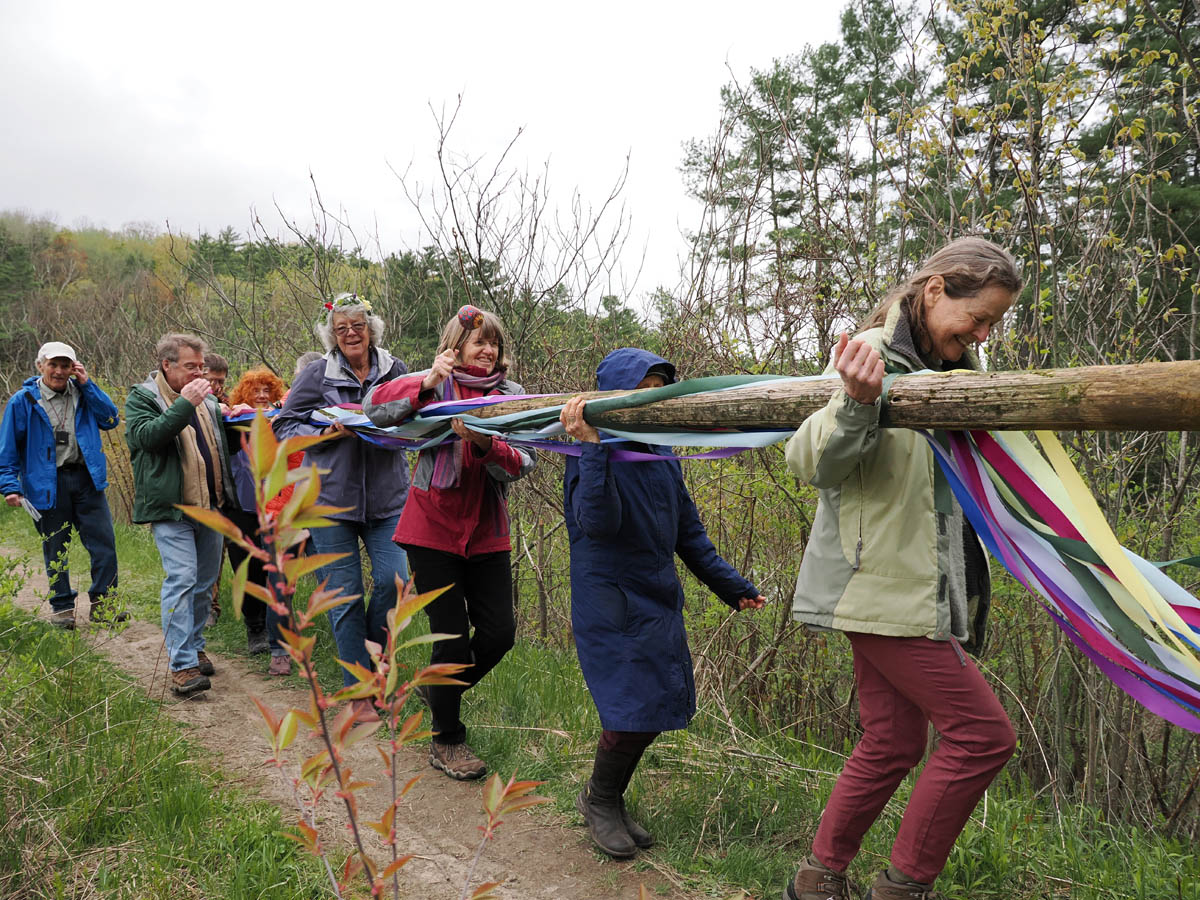 Several people carry a ribboned maypole along a path.