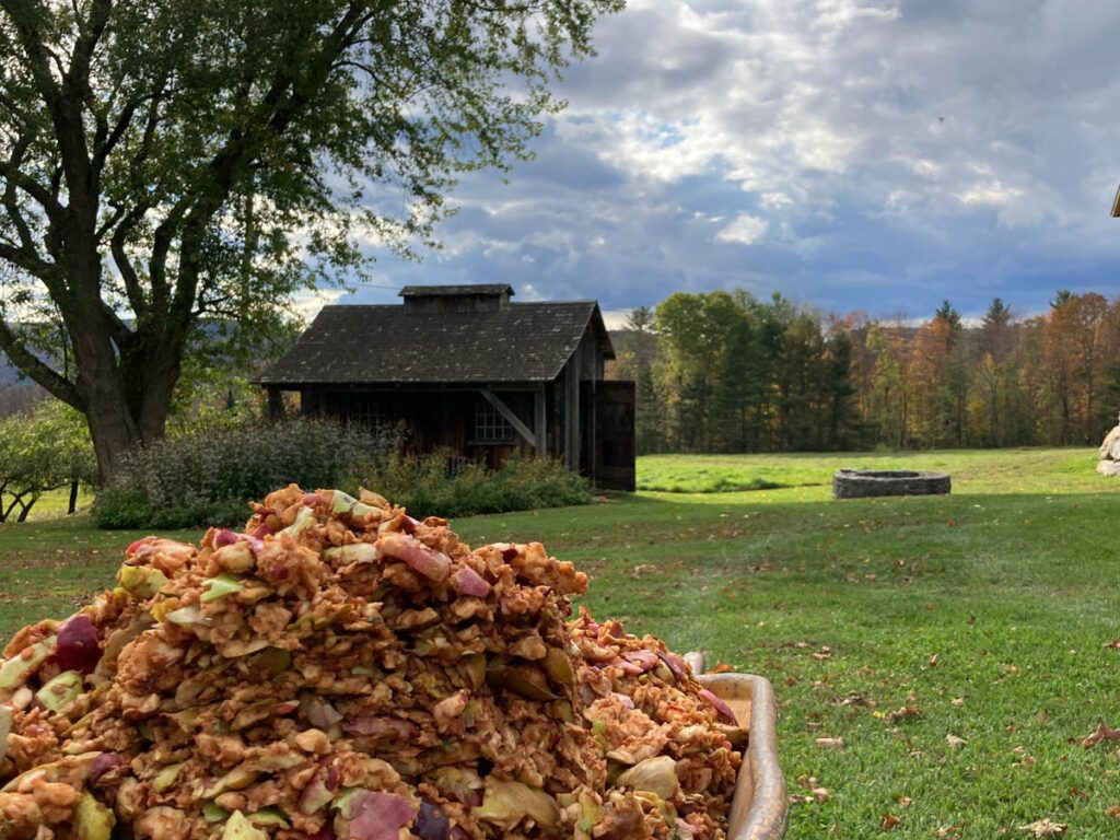 apple pulp in a wheelbarrow in front of small barn.