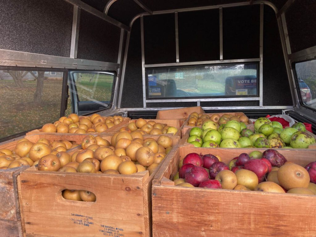 crates of apples in the back of a truck.