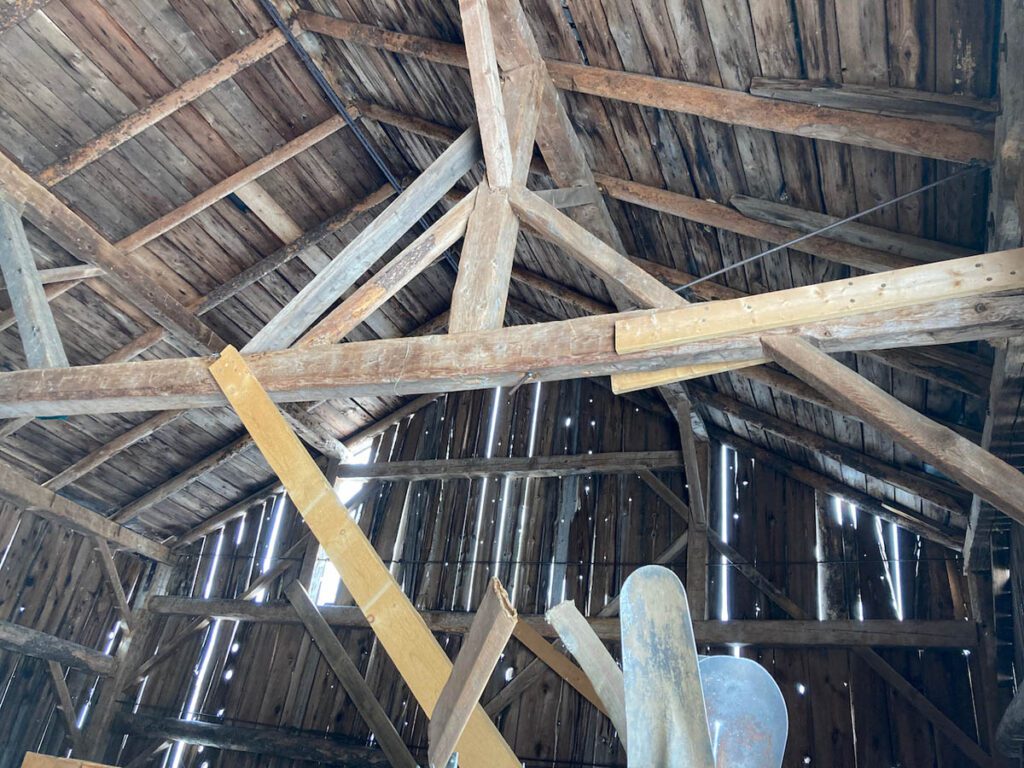 inside of old barn, looking toward rafters