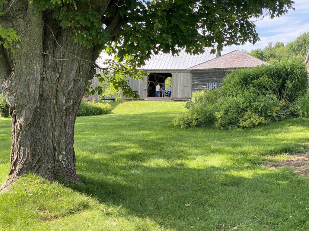 Barn and grassy yard.