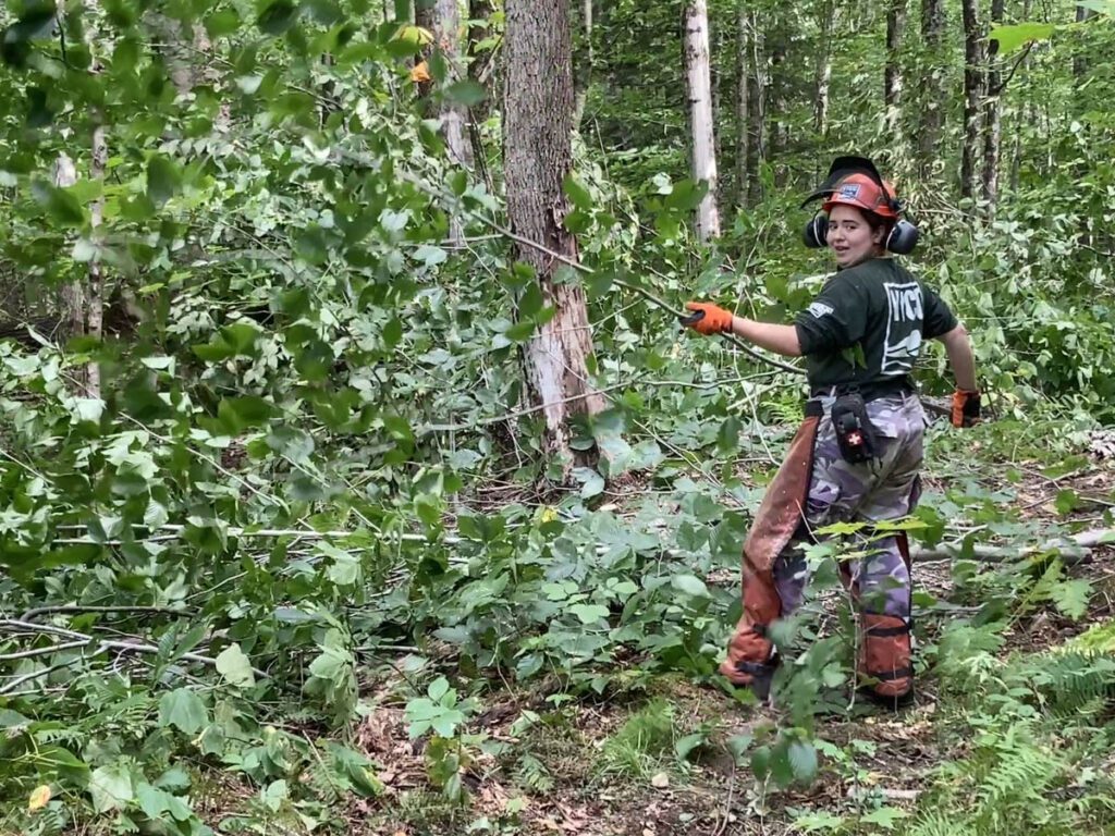 Vermont Youth Conservation Corps crew member pulls tree brush in the forest.