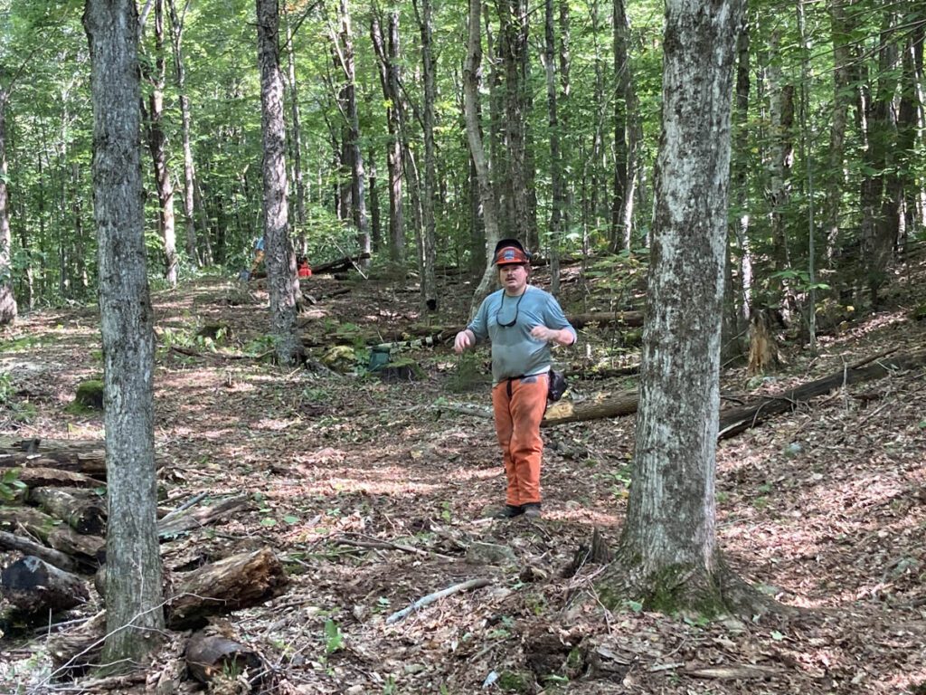 Man wearing chainsaw gear stands in a forest clearing.