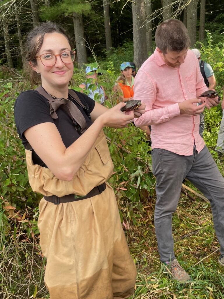 woman in waders holds small painted turtle.