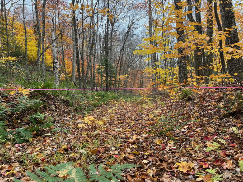 Eroded forest skid trail, with pink tape showing original soil depth.