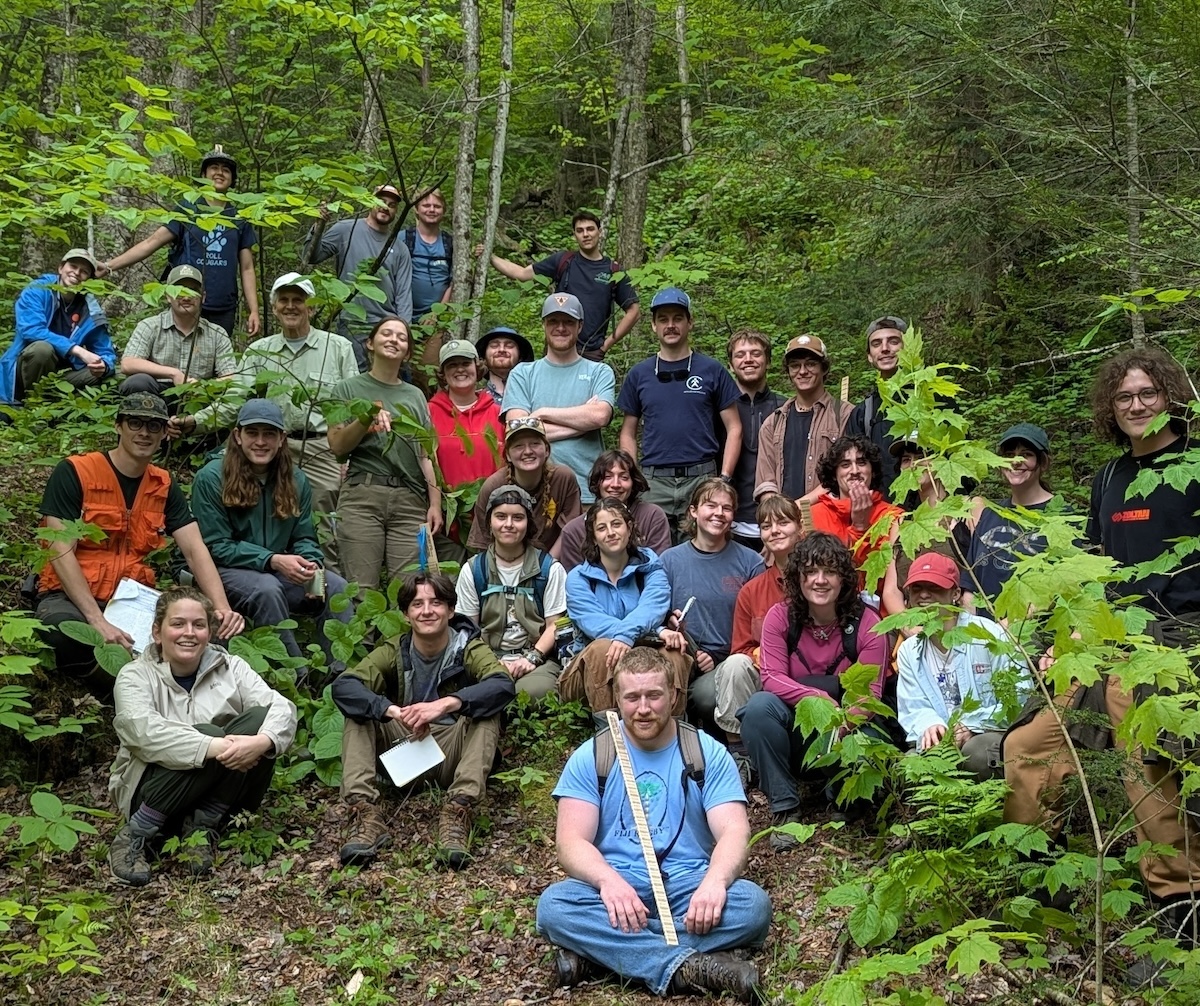 Featured image for “Forestry Students Immerse in VFF Forest Ecosystem Conservation”