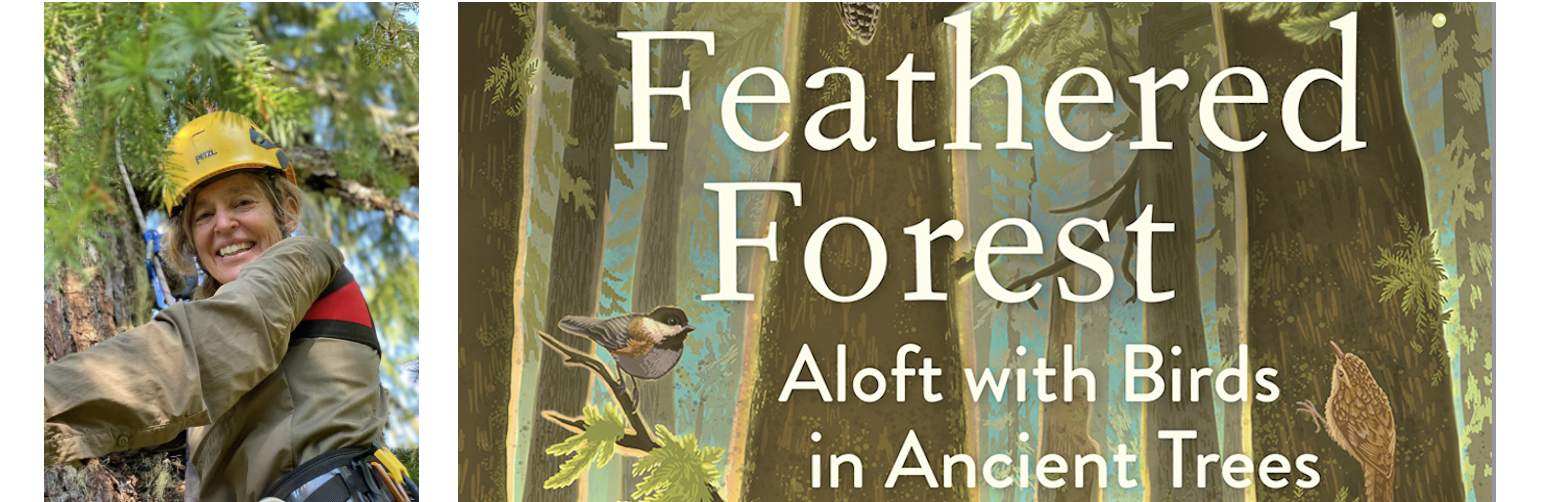 Featured image for “Explore the Feathered Forest with Marina Richie”